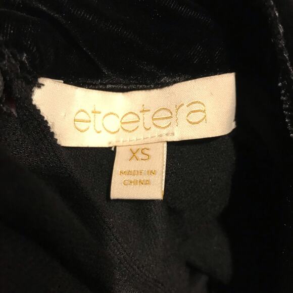 Etcetera Silk Velvet Blouse Sheer Sleeves - Picture 12 of 12